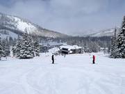 Easy slopes at the Majestic chairlift