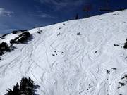 Wide deep-snow slopes