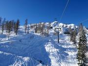 Powder tracks below the Madritschenbahn