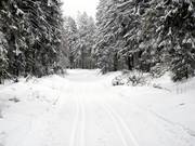 The Hunau trail is only groomed for classic cross-country skiing