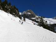 Black valley run Seealpe