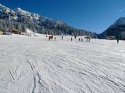 Wide and easy slope on the Ehrwalder Alm