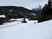 Slope at the Seewald I drag lift