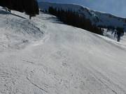 Intermediate slope between Planplatten and Gummenalp