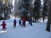 Children's ski lesson on the Trollskogen slope