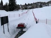 Wildcat Handle Tow - Rope tow/baby lift with low rope tow