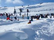 Toboggan Run Alpine Meadow
