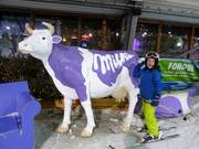 The purple cow is also present here.