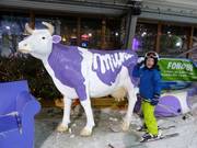 The purple cow is also present here.