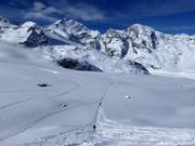 Morteratsch Glacier Run