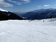 Slope at the Palius ski lift