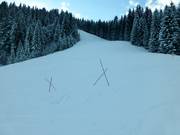 Protecting the turf by means of barriers