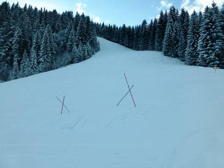 Ammergauer Alpen: environmental friendliness of the ski resorts – Environmental friendliness Kolbensattel – Oberammergau