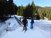 One of the conveyor belts in the Lavarone ski area