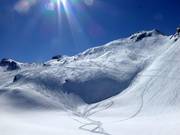 Powder dream in open ski terrain