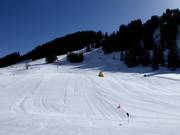 Very well-prepared beginner area in Geils