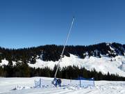 Snow lance in Grasgehren