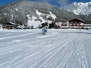 Snow cannon in Ramsau am Dachstein