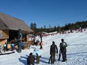 Mehliskopf 4 - T-bar