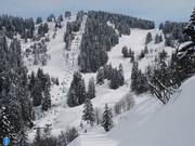 Brichou - 4pers. Chairlift (fixed-grip)