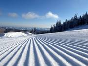 Perfectly groomed slope in the Mönichkirchen/Mariensee ski resort