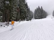 Hirschberglift - T-bar