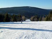 Descent at the Predigtstuhl II drag lift