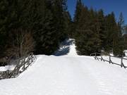 Cross-country trails in Bansko at the mountain station of the gondola lift