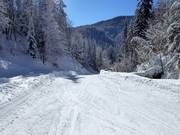 Easy valley run (ski route) to Seegatterl