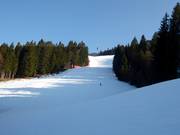 The Kandahar is steep