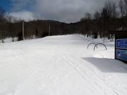 The practice area Mighty Mite