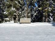 Beginners love the sun benches for relaxing.