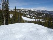 Mogul slope Bobbie's Runout