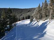 Easy slope Lázeňská