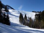 Slope to the Steinling T-bar lift