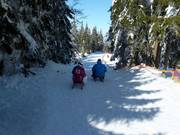 Tip for children  - Arber toboggan run