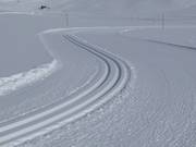 High-altitude trail at Fallbichl