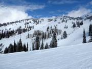 View of the slopes at the Blackfoot Lift