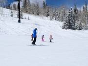 Ski course at the Link chairlift