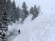 Steep terrain at the Super Condor Express chairlift