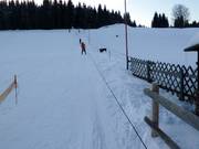 Skilift Rölzhang - Rope tow/baby lift with low rope tow