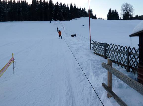 Skilift Rölzhang - Rope tow/baby lift with low rope tow