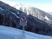 Skiing prohibited in woodland areas