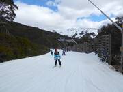 Easy slope Wombats Ramble