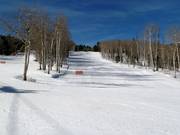 Red's Rover downhill run