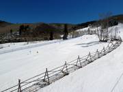 Children's race track