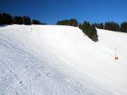 The open slopes of the Pferdeloch are typical for the Postwiesen ski area.