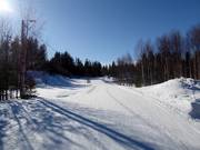 Cross-country ski trails in Pyhä