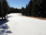 Easy valley run Falzeben