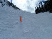 Mogul slope in the Kicking Horse ski area
